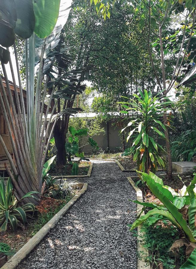 Cabanas De Nacpan Camping Resort El Nido Eksteriør bilde